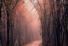 半岛体育官网:2024年12月20日《小球时刻》–全国青少年U系列壁球赛(济宁站)收官.