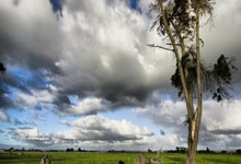 《楼长来了》蛇年春节番外-.