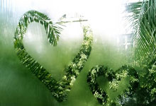 全在詹姆斯眼皮底下夺冠！库里全力冲第5冠，名将预言将挑战王座.