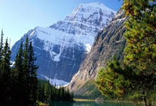 常规赛末段换帅！灰熊成为本赛季第二支在季中换帅的球队.